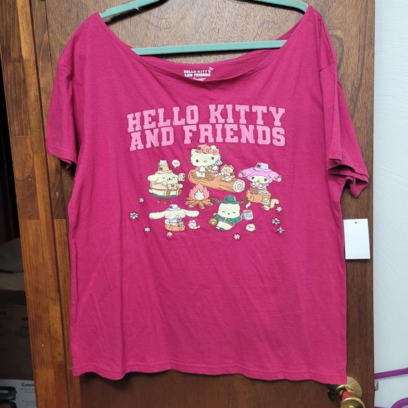 Sanrio Other - NWT. Hello Kitty and Friends Pink Kids Graphic Tee. Size L